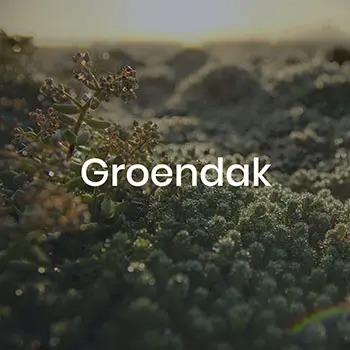 groendak