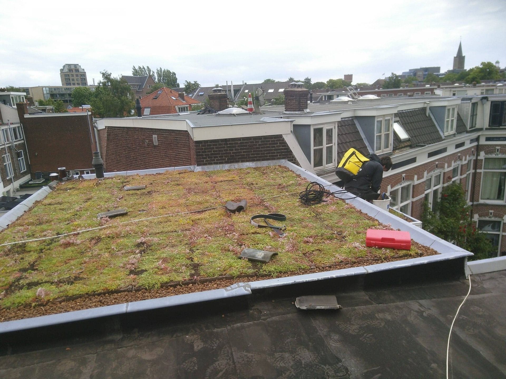 groendak aanleggen in utrecht