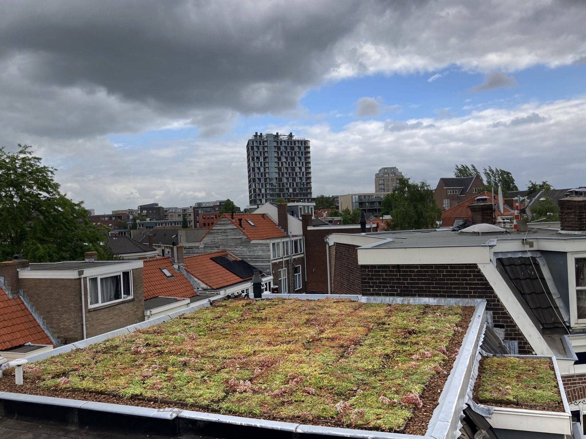 eindresultaat groendak in Utrecht aan de Beverstraat