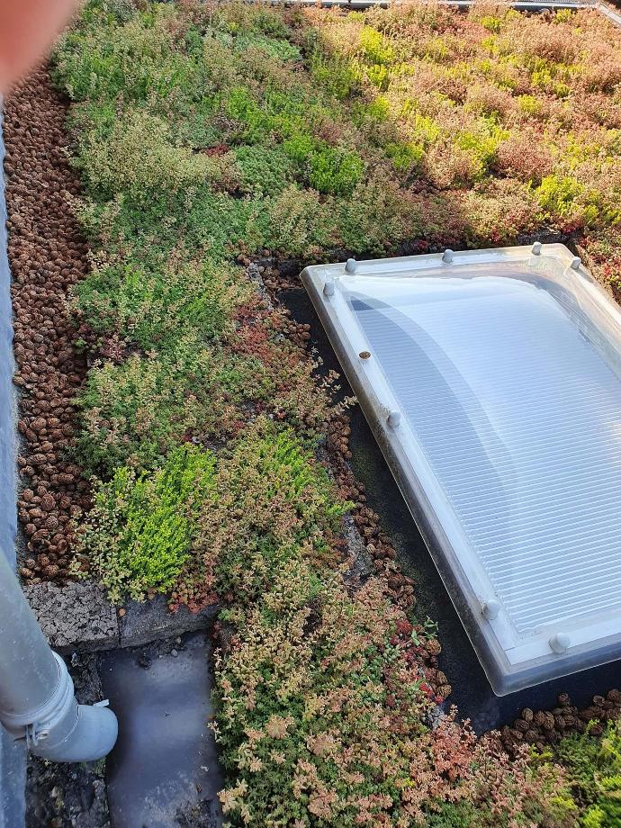 zonnepanelen op schuurdak in utrecht