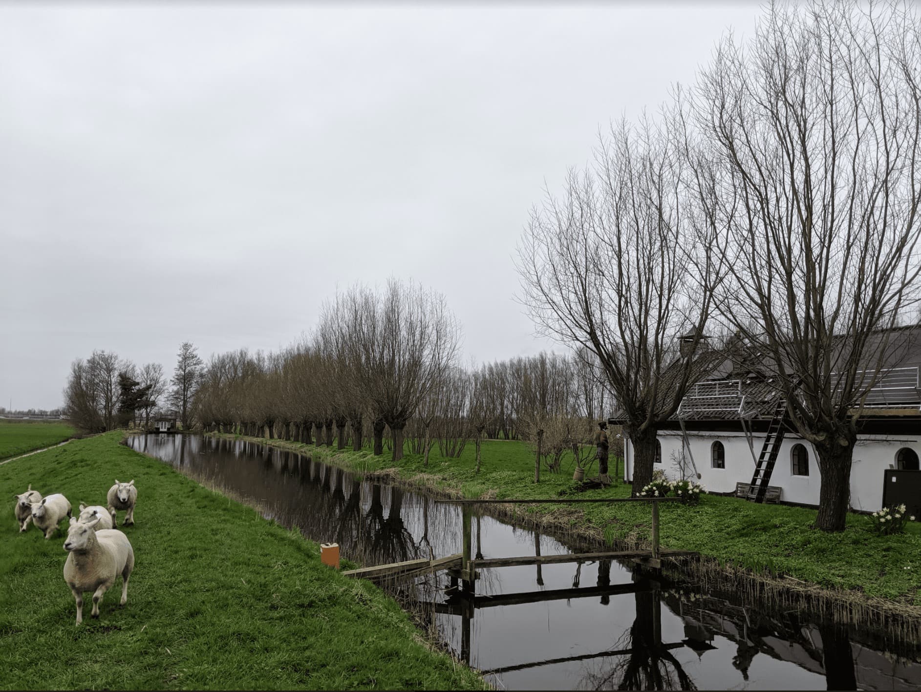 groen weiland met schapen, een beek en een woning met zonnepanelen